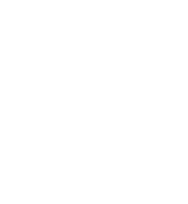 Luminox